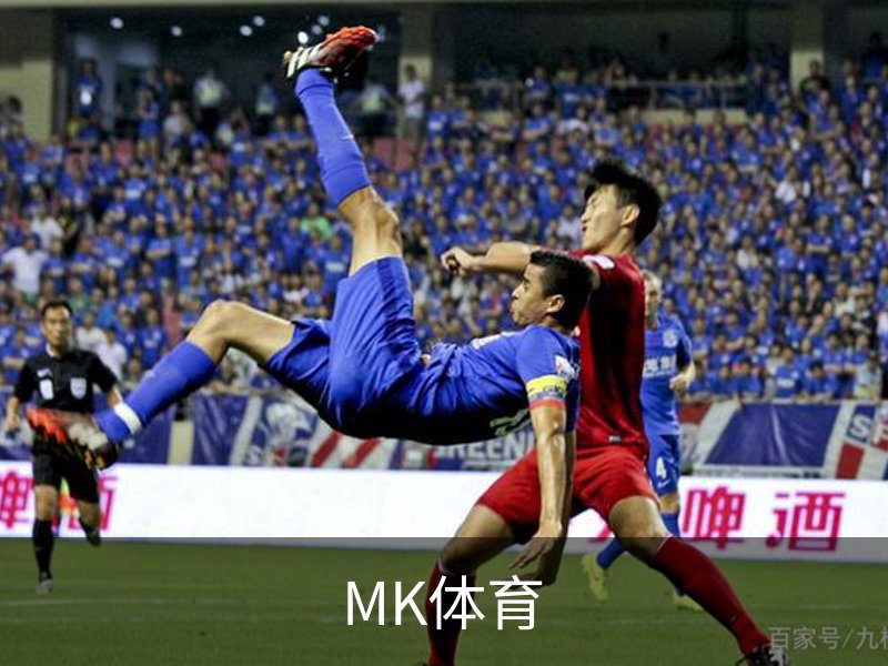 MK体育介绍